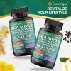 Sea Moss 7000mg Black Seed Oil 4000mg Ashwagandha 2000mg Ginger Blend with Turmeric 2000mg Bladderwrack Burdock & Vitamin D3 Vitamin C with ACV Chloro