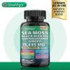 Sea Moss 7000mg Black Seed Oil 4000mg Ashwagandha 2000mg Ginger Blend with Turmeric 2000mg Bladderwrack Burdock & Vitamin D3 Vitamin C with ACV Chloro